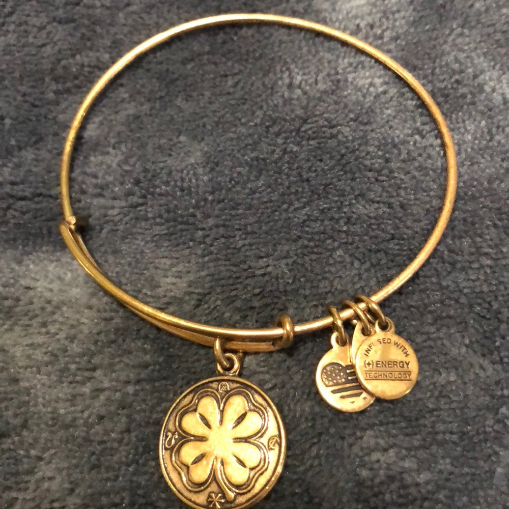 Alex and Ani brass gold bracelet